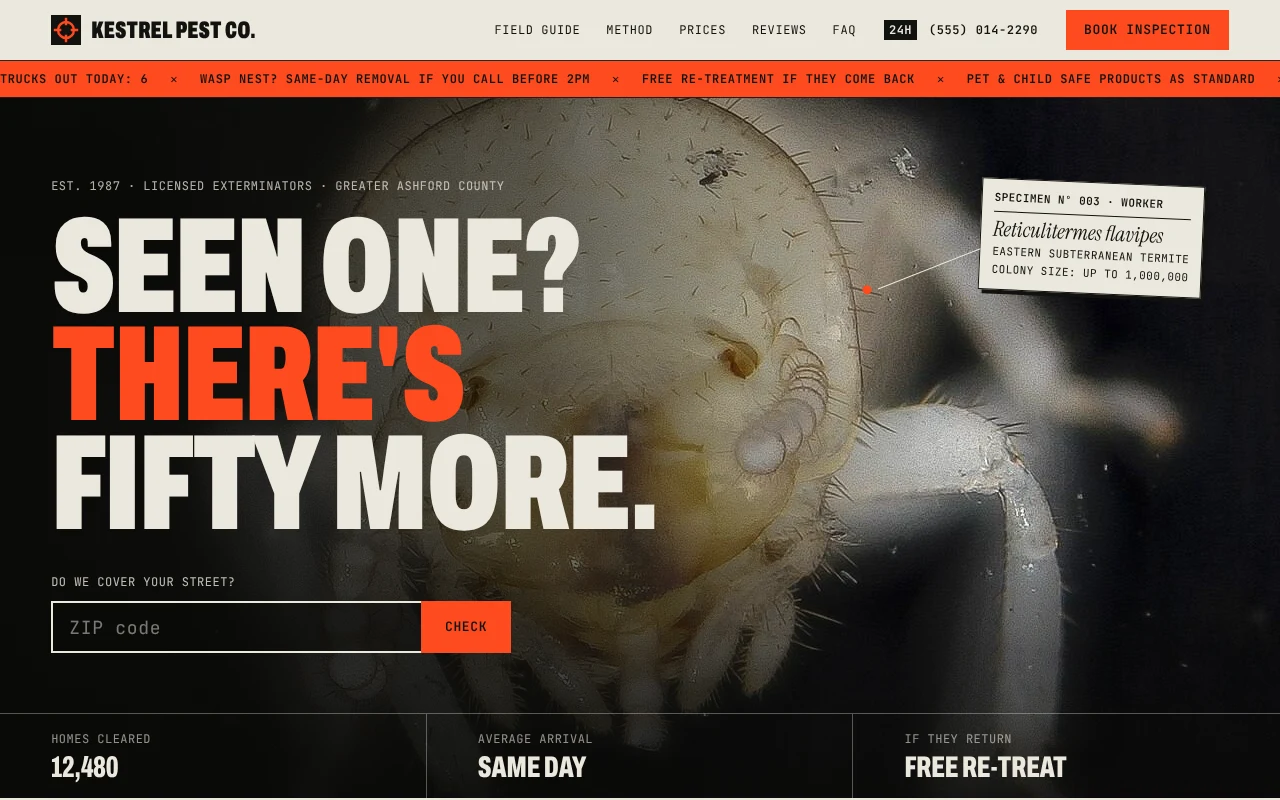 The Pest Control Company template, as it looks when you copy it